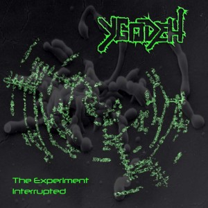 Ydogeh - The Experiment Interrupted (2013)