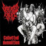 Defeated Sanity — Collected Demolition (2010)