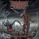 Ruptured Birth — Arachni Supremacy (2015)