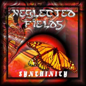 Neglected Fields - Synthinity (1998)