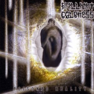Brilliant Coldness — Poisoned Reality (2006)