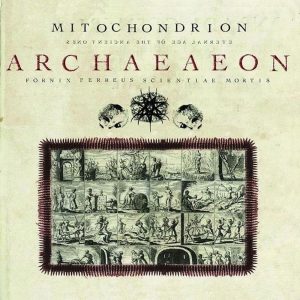 Mitochondrion — Archaeaeon (2008)