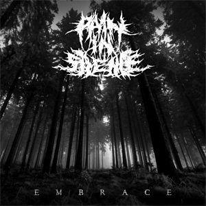 Pain In Silence — Embrace (2018)