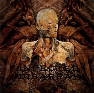 Infected Disarray - Disseminating Obscenity (2009)
