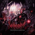 Vulvodynia — Finis Omnium Ignorantiam (2015)
