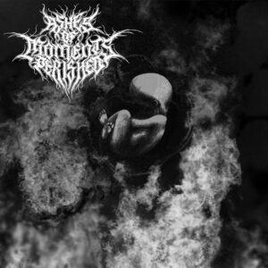 Ashes Of Moments Perished — Womb In Black Flame (2023)